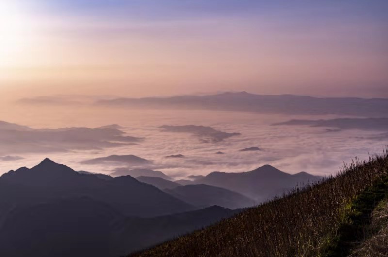 微信图片_201910081539495