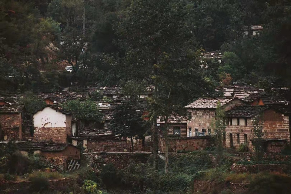 微信图片_20191008161154