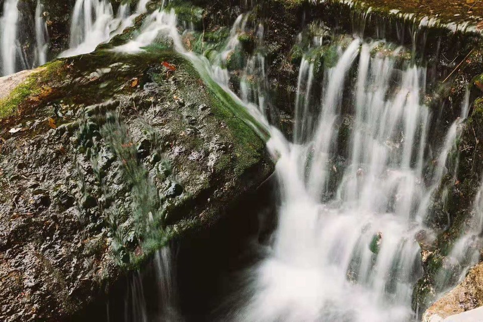 微信图片_20191008161900