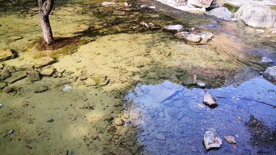 微信图片_201910081611542