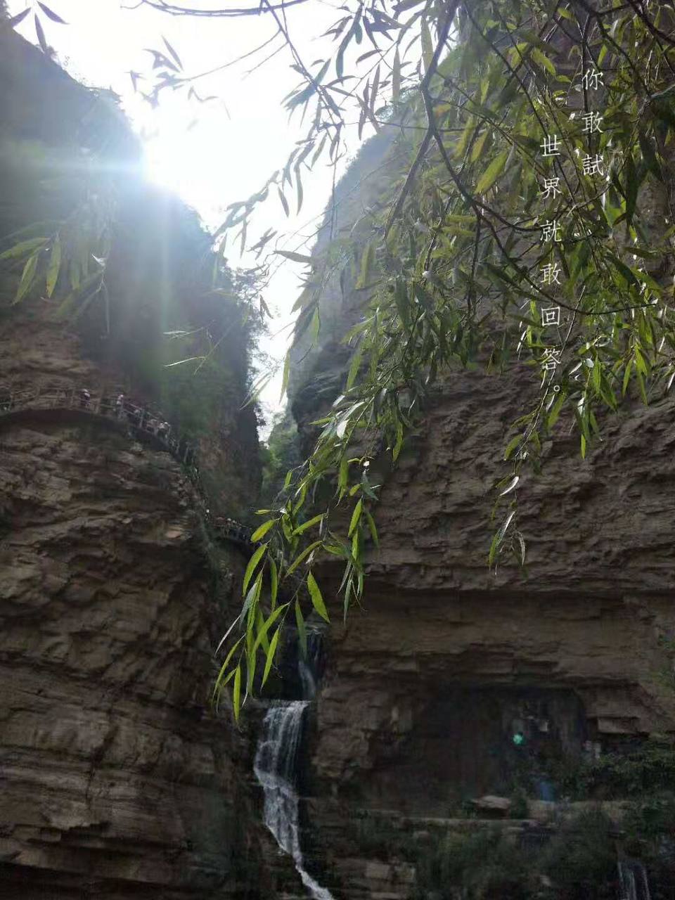 微信图片_201910081612423