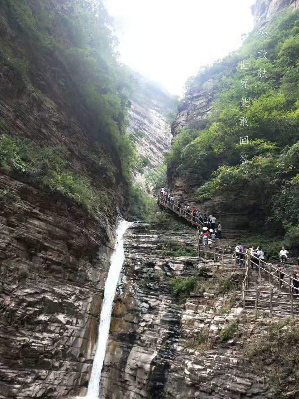 微信图片_201910081612424