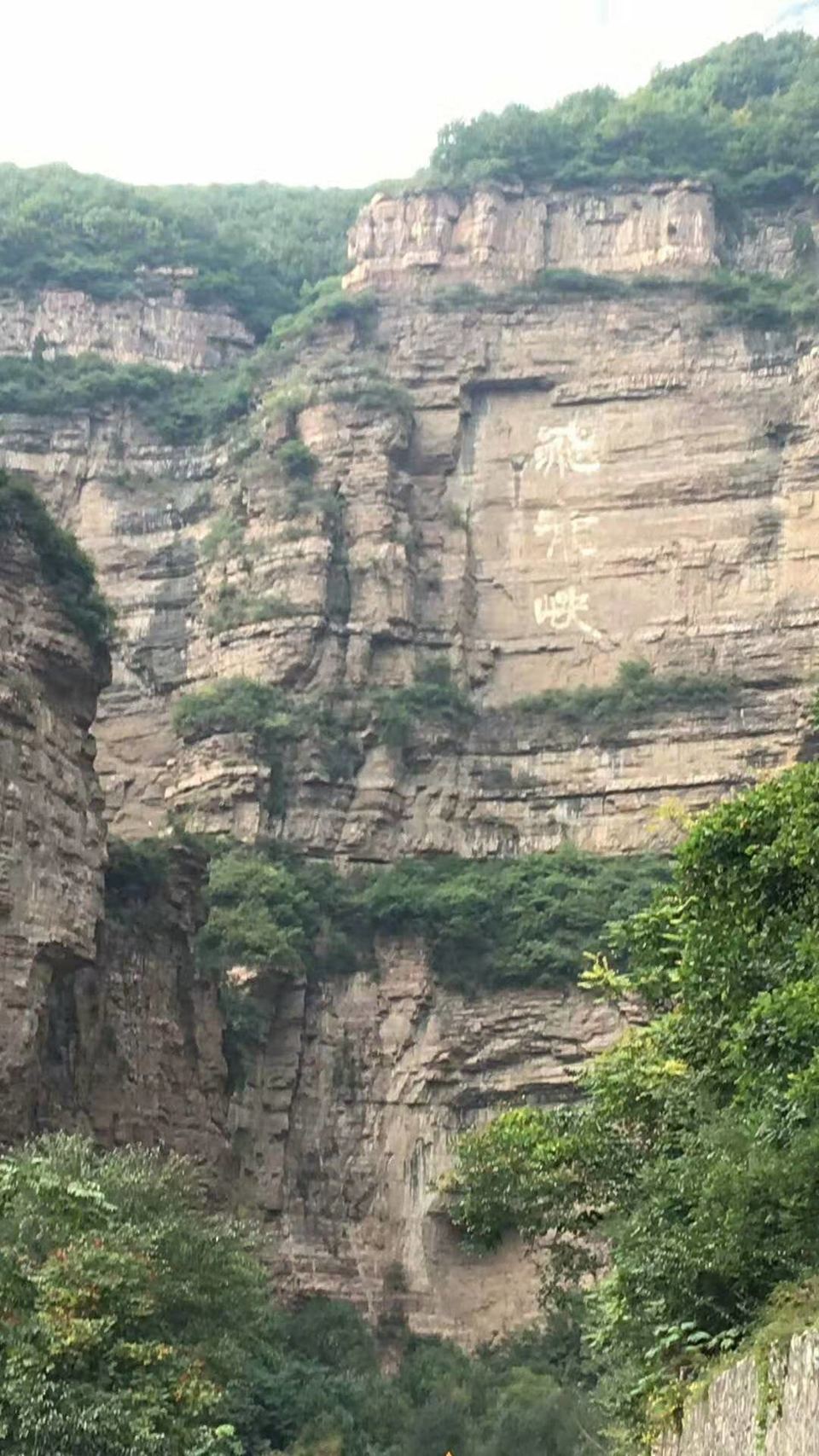 微信图片_201910081612425