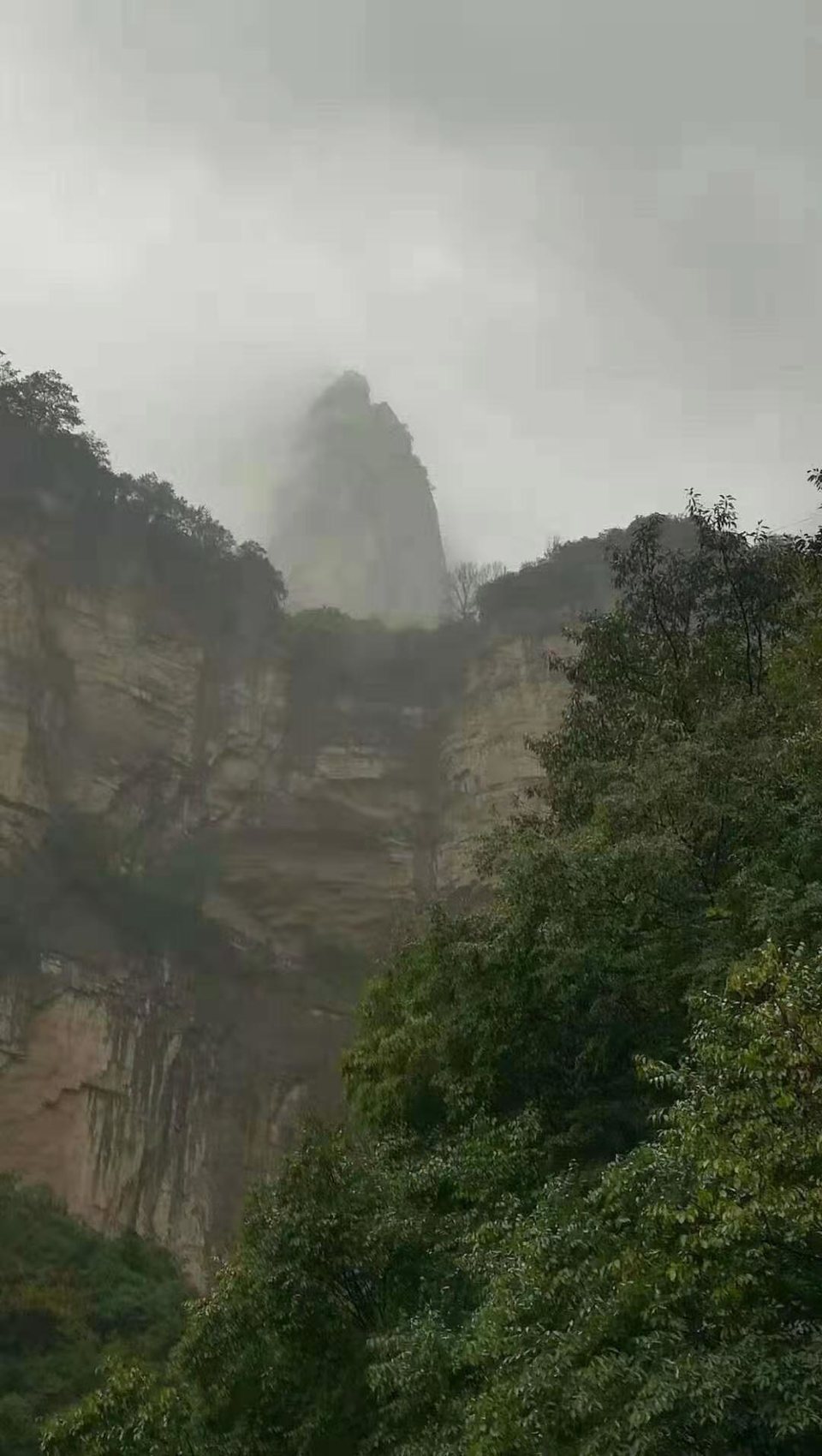 微信图片_201910081614182