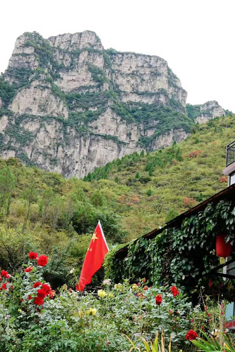 微信图片_201910081615051