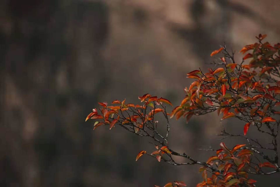 微信图片_201910081616074