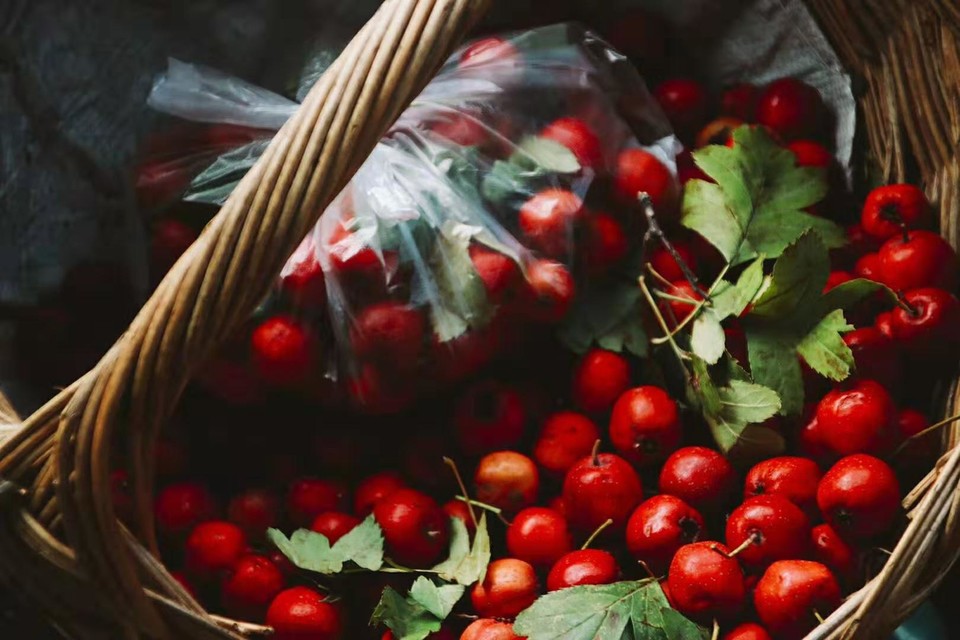 微信图片_201910081616075