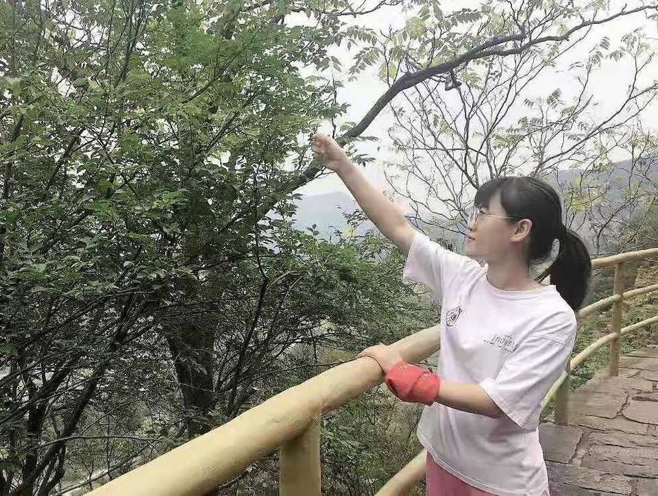 微信图片_201910081617191