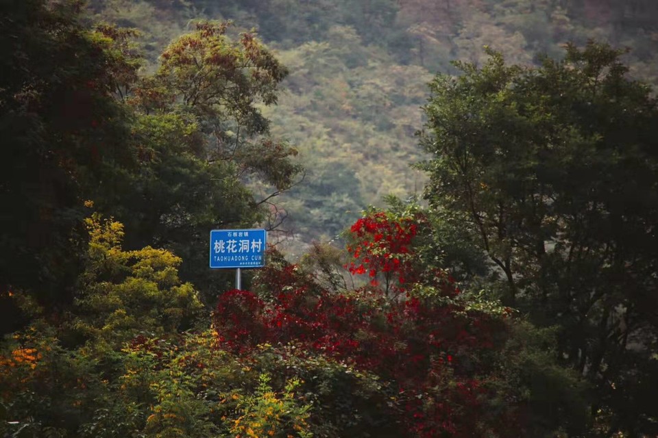 微信图片_201910081619007