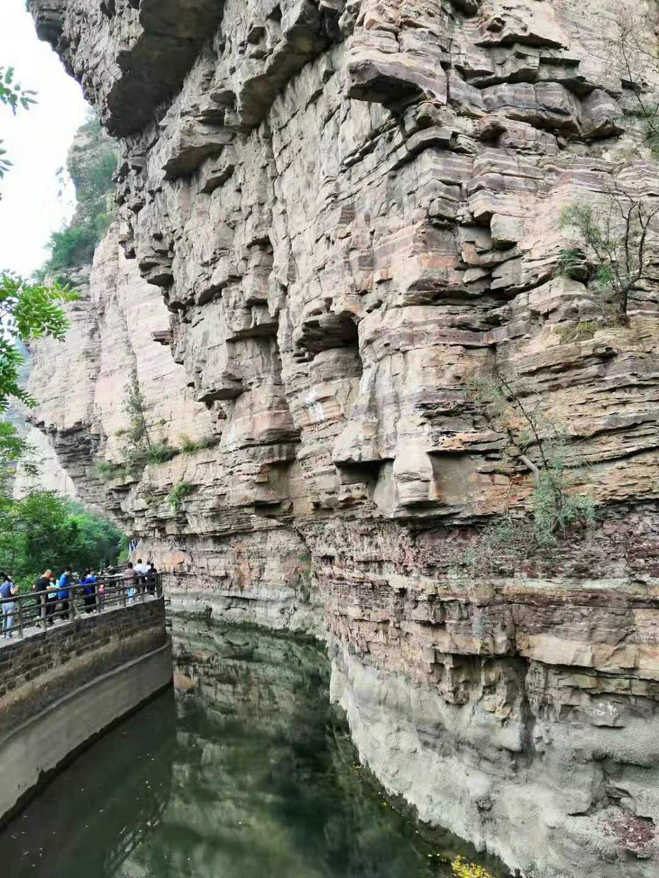 微信图片_201910091454001