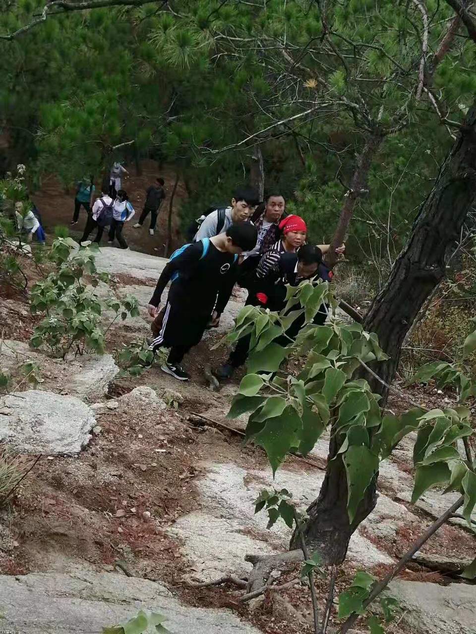 微信图片_20191014123933