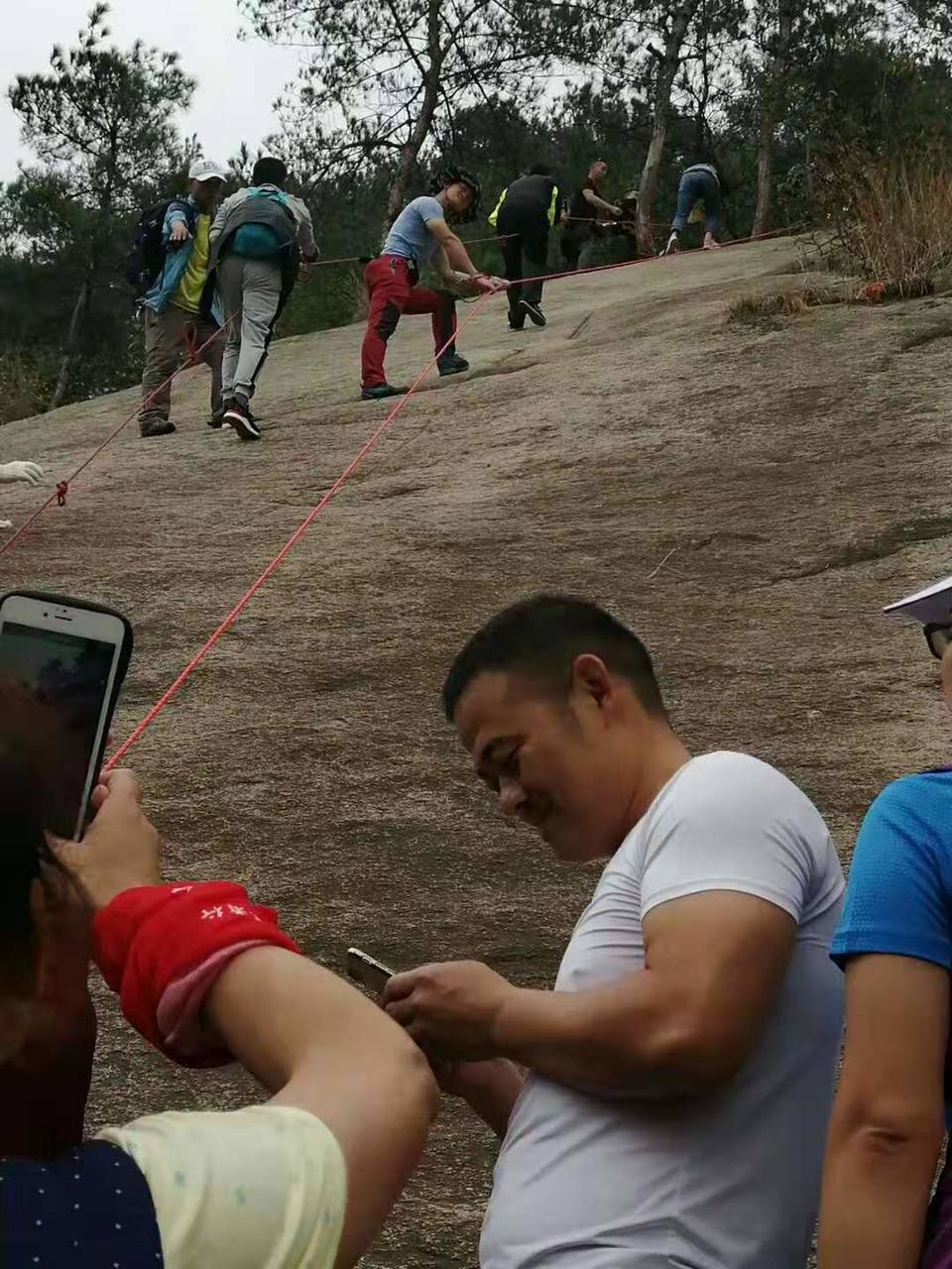 微信图片_201910141239332