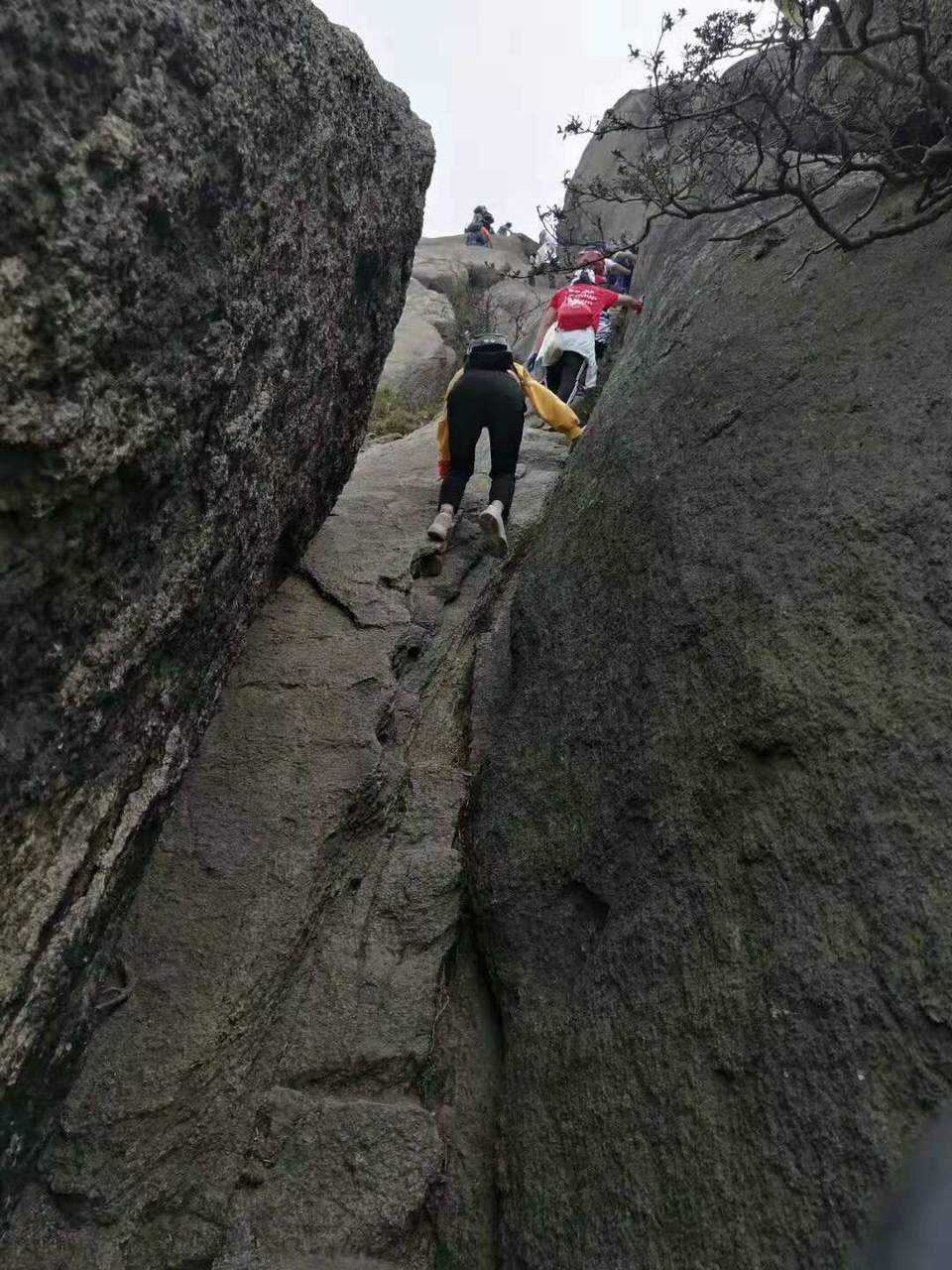 微信图片_201910141239336