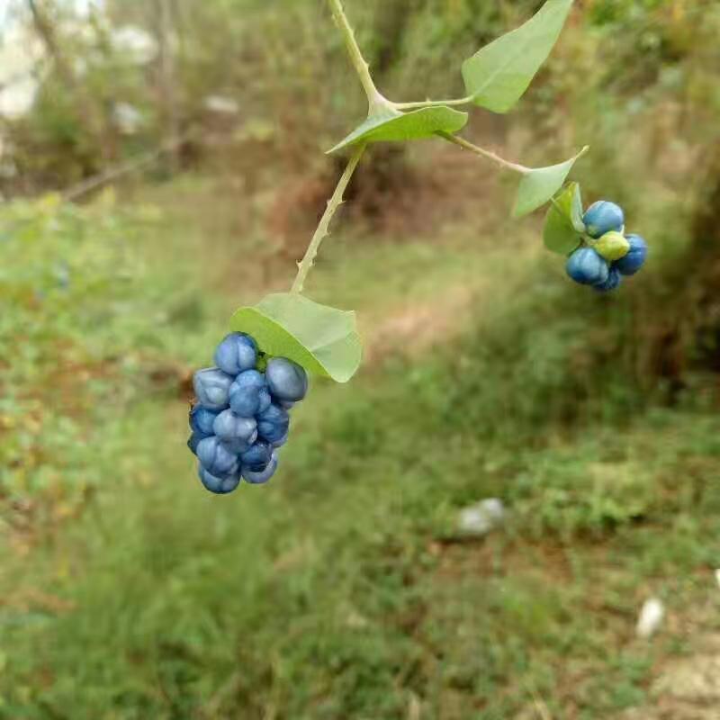 微信图片_2019101412393323