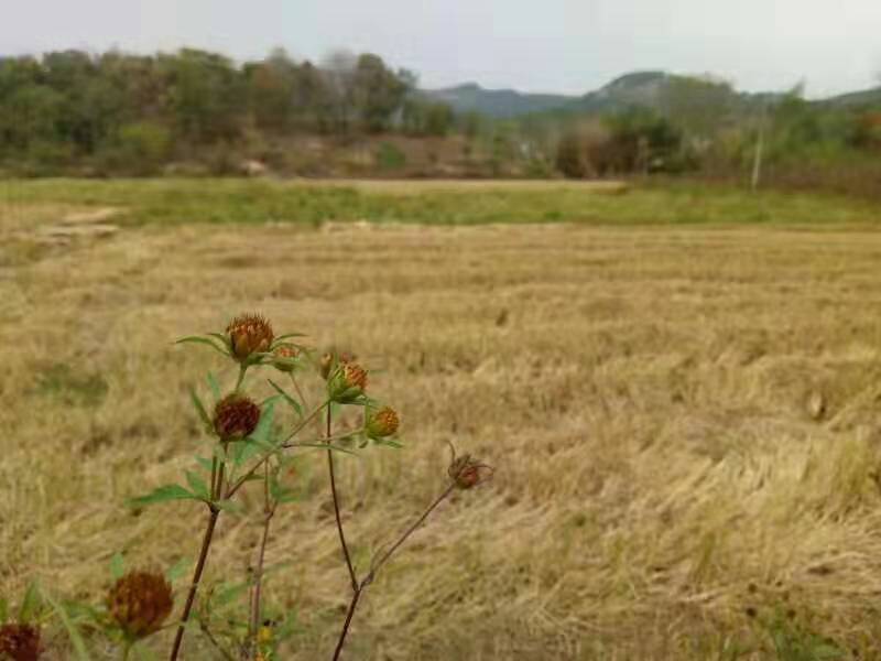 微信图片_2019101412393324