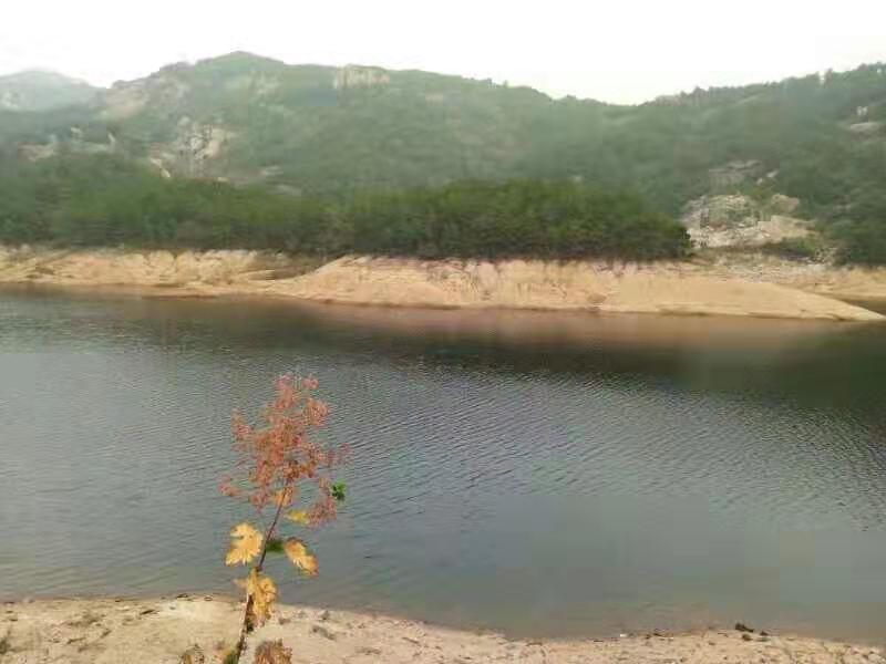 微信图片_2019101412393336