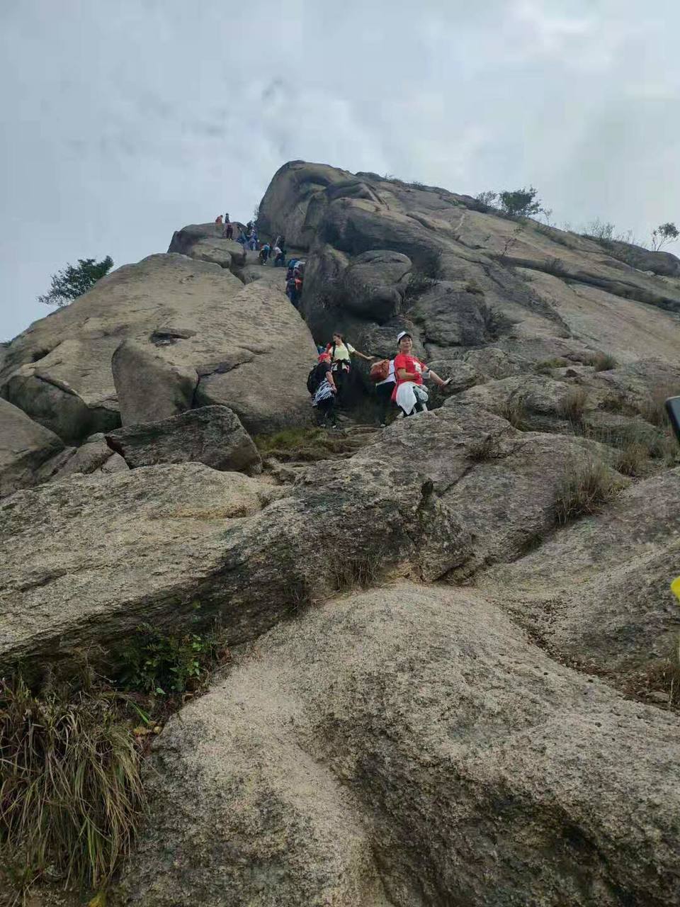 微信图片_2019101412393337