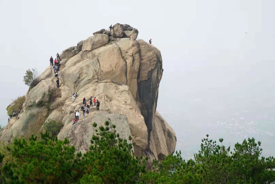 微信图片_2019101412393345