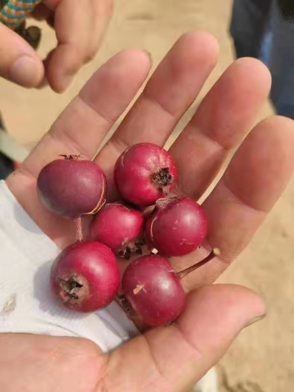 微信图片_2019101412393363