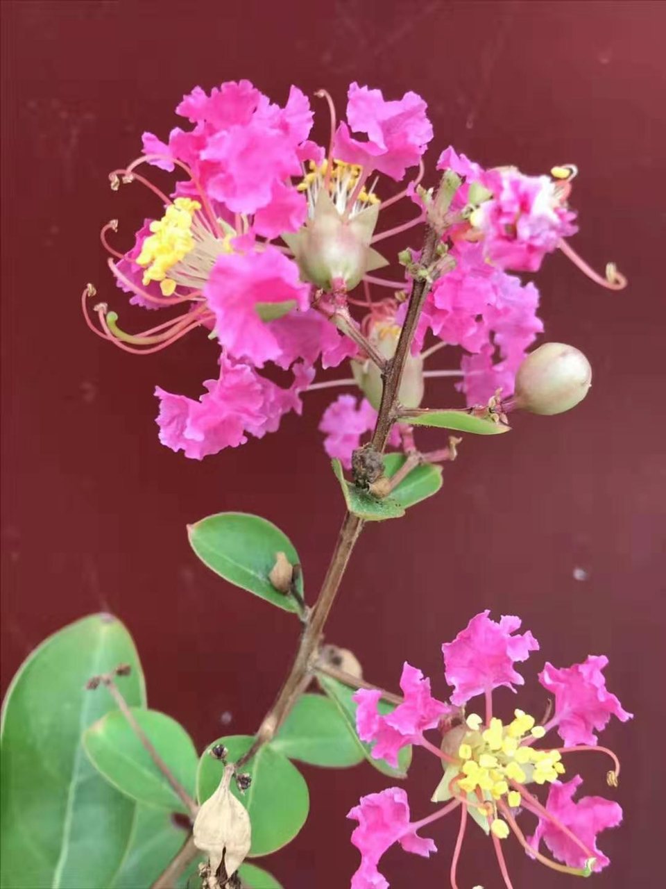 微信图片_2019101412393364