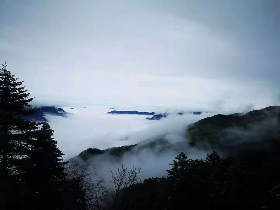 微信图片_20191028102904