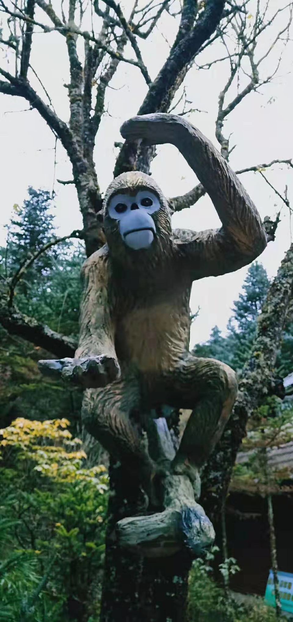 微信图片_20191028103619