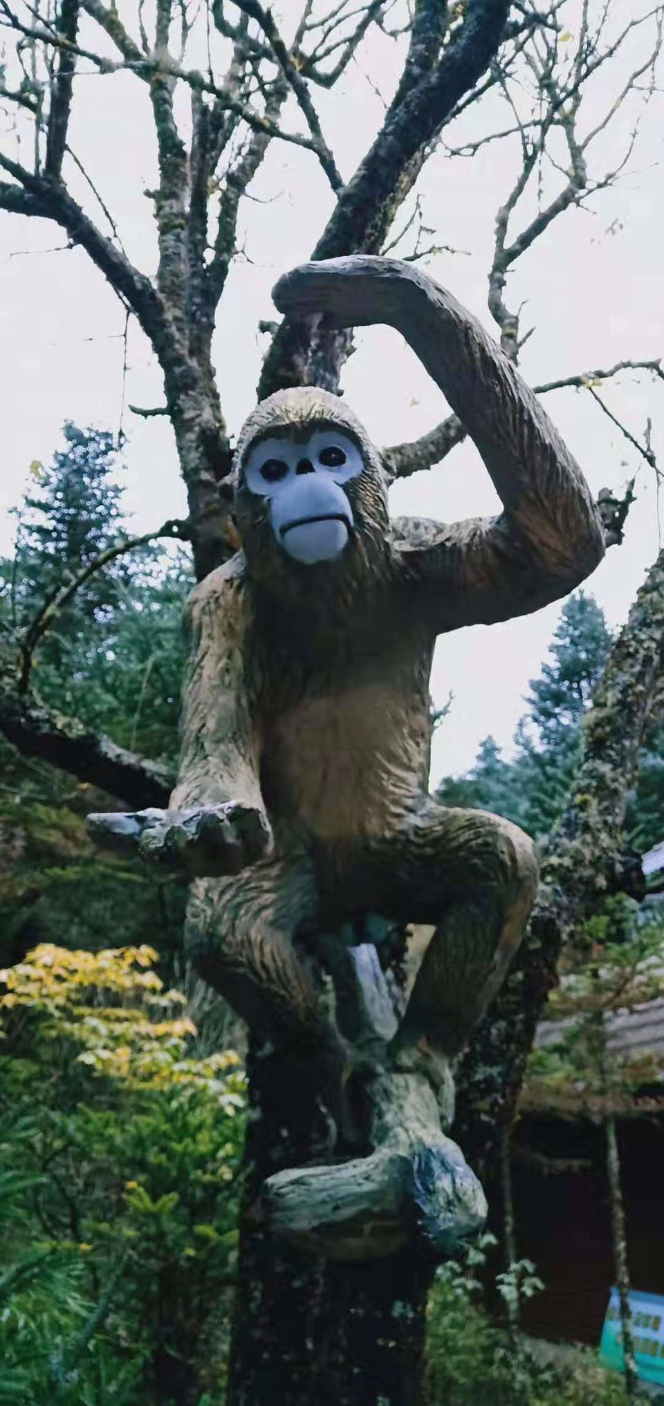 微信图片_20191028104021