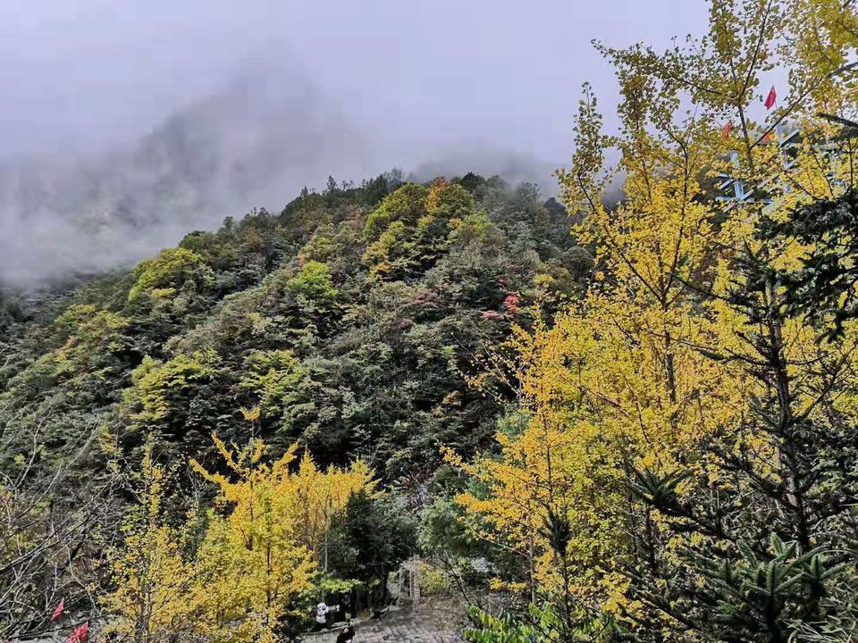 微信图片_201910281026355