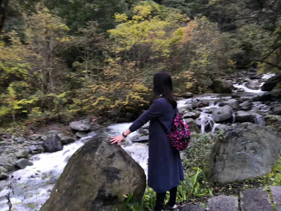 微信图片_201910281026356