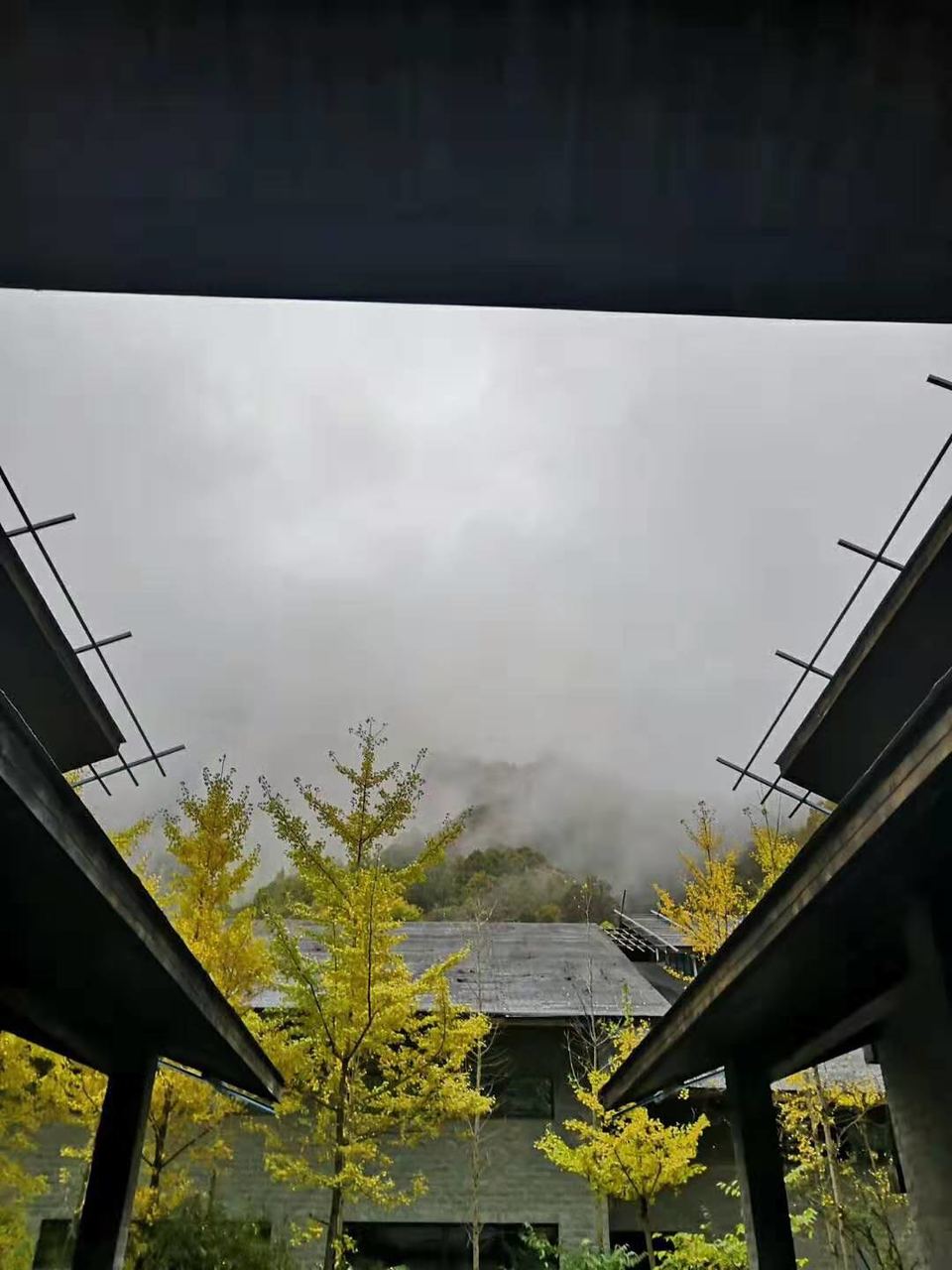 微信图片_201910281026357