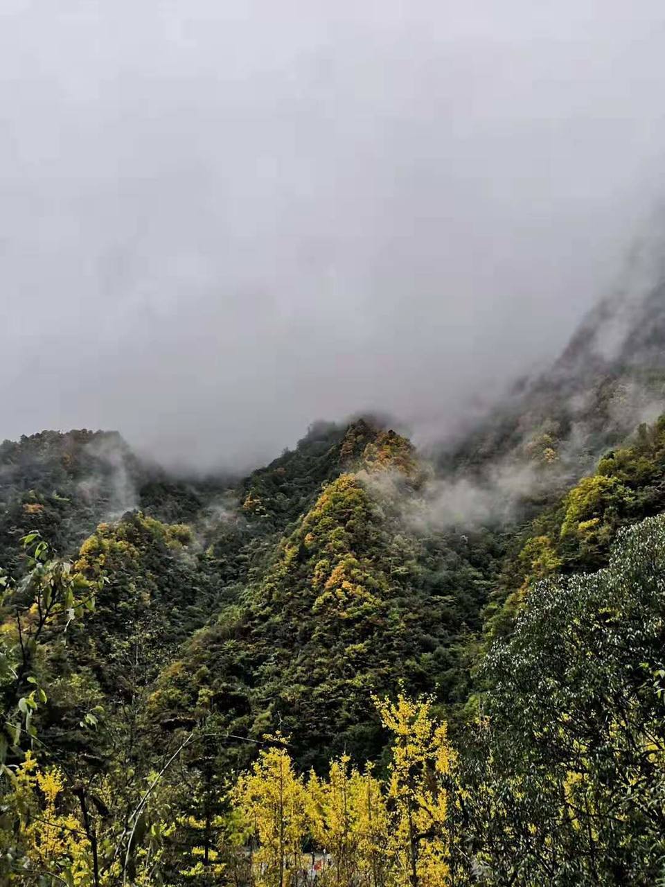 微信图片_201910281027361