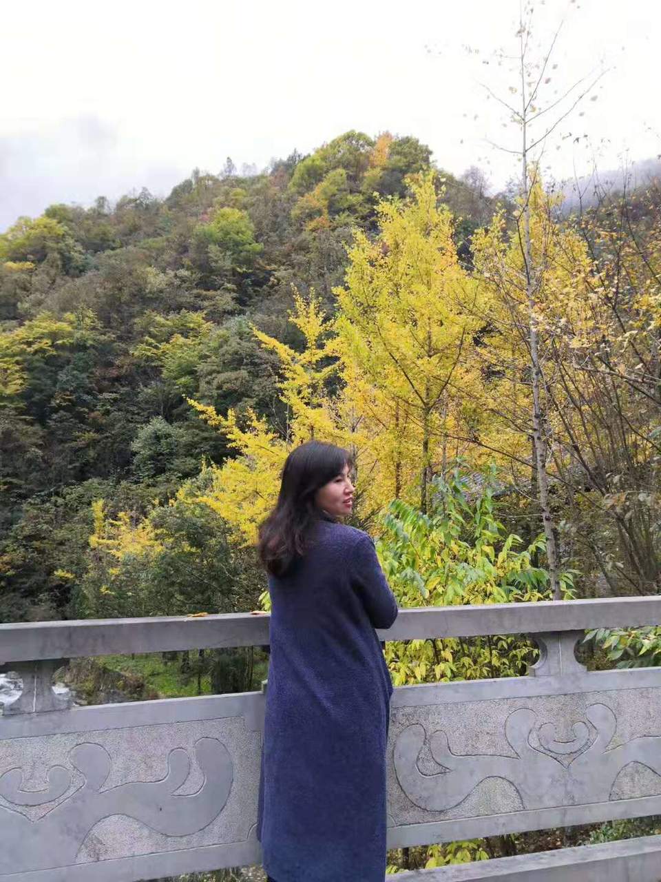 微信图片_201910281027363