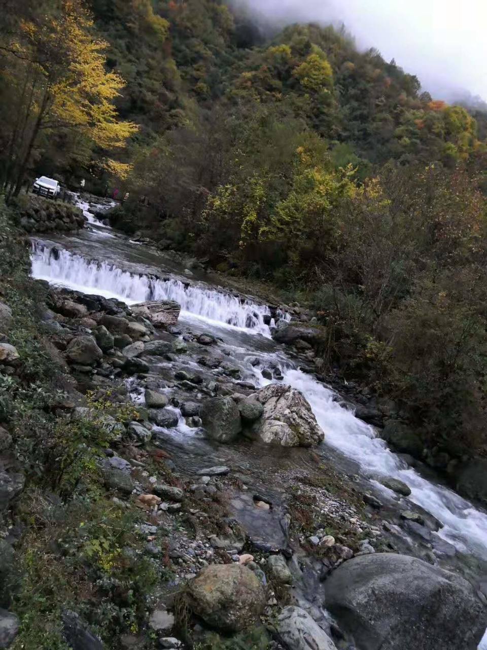 微信图片_201910281027364