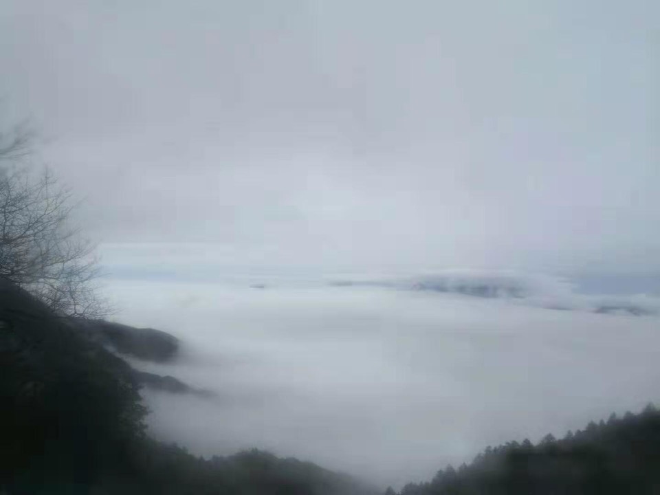 微信图片_201910281027365