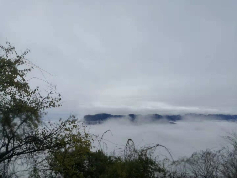 微信图片_201910281027366