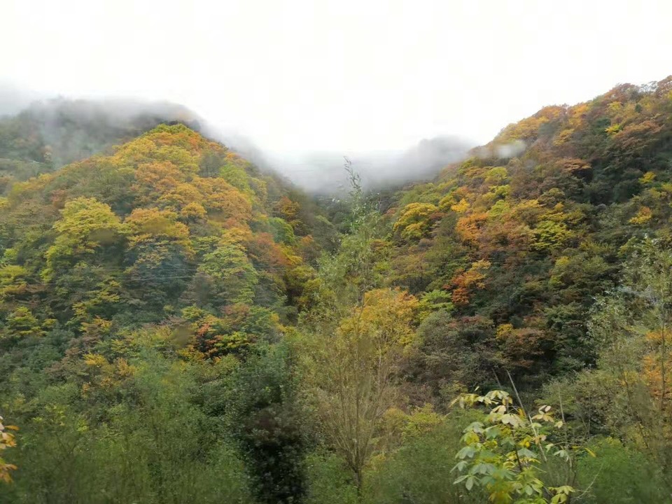 微信图片_201910281029041