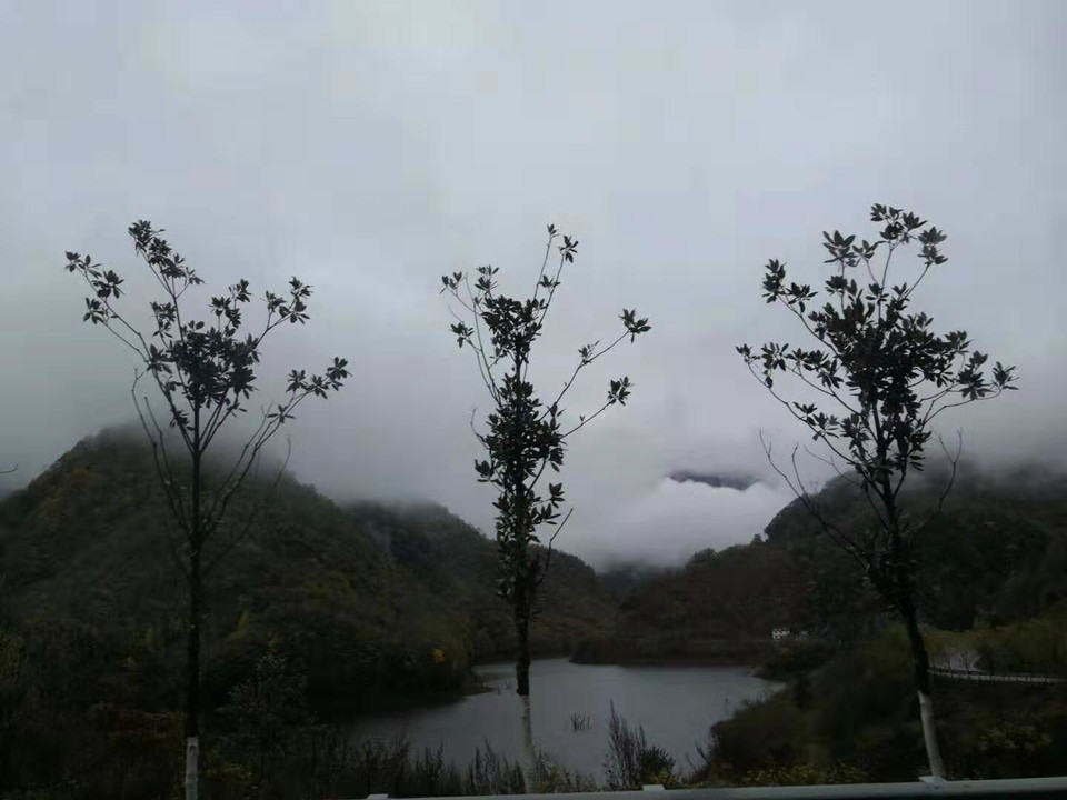 微信图片_201910281029045