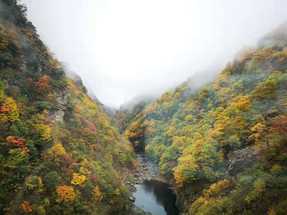 微信图片_201910281029047