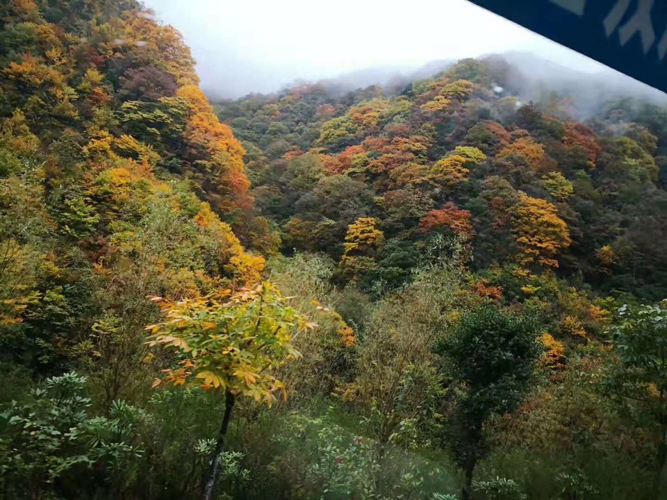 微信图片_201910281029482