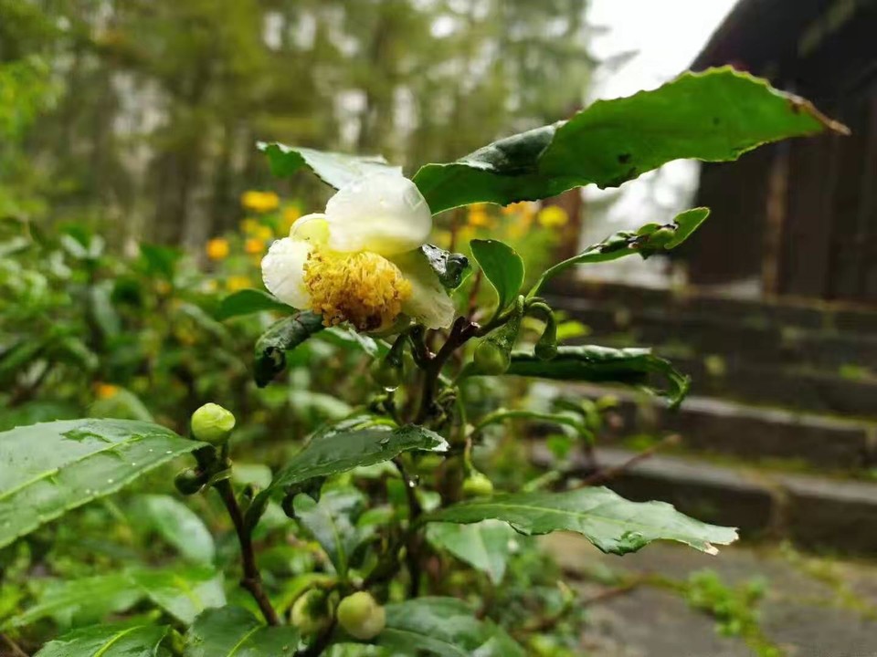 微信图片_201910281030474