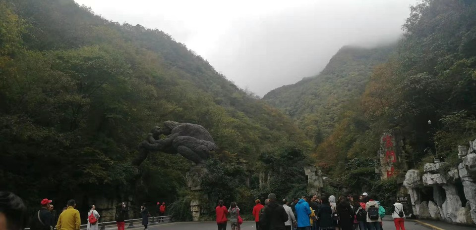 微信图片_201910281031451