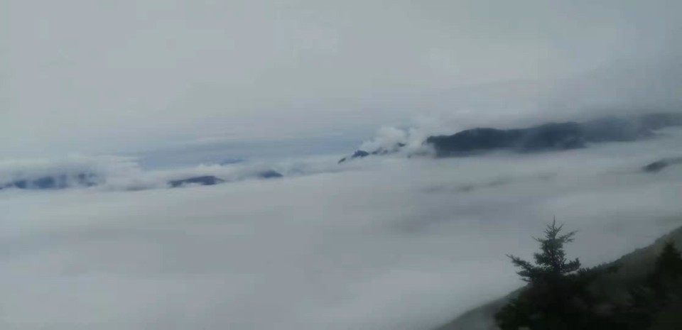 微信图片_201910281031455