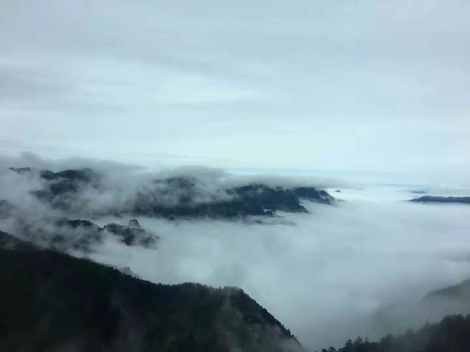 微信图片_201910281033321