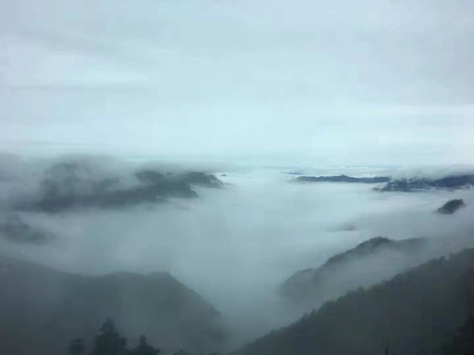 微信图片_201910281033322