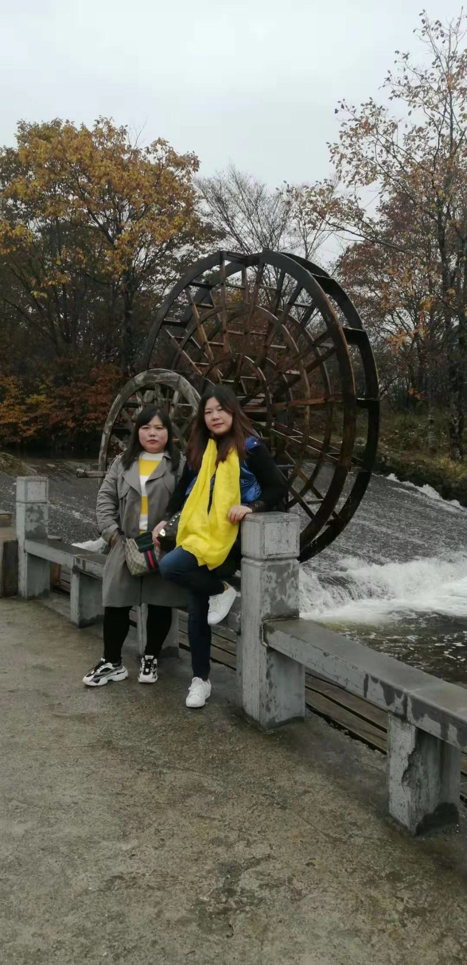 微信图片_201910281034446