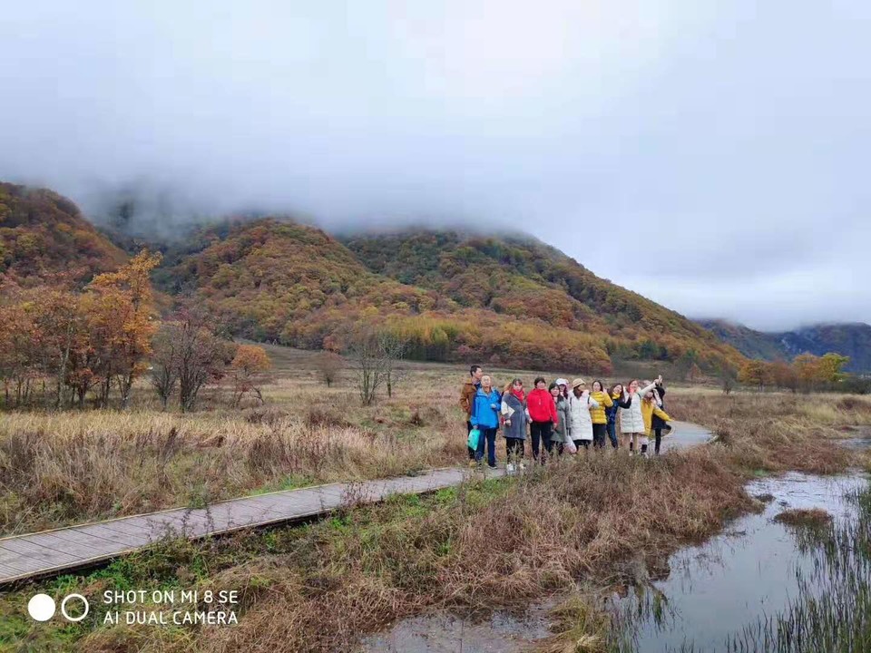 微信图片_201910281034447