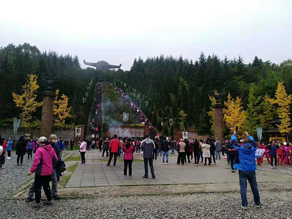 微信图片_201910281036194