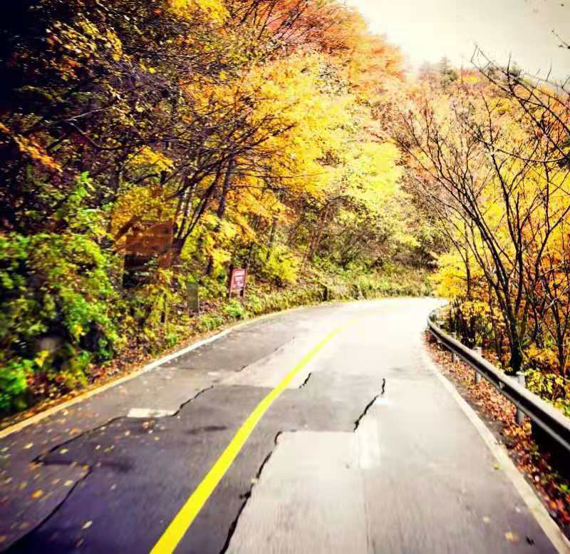 微信图片_201910281036196