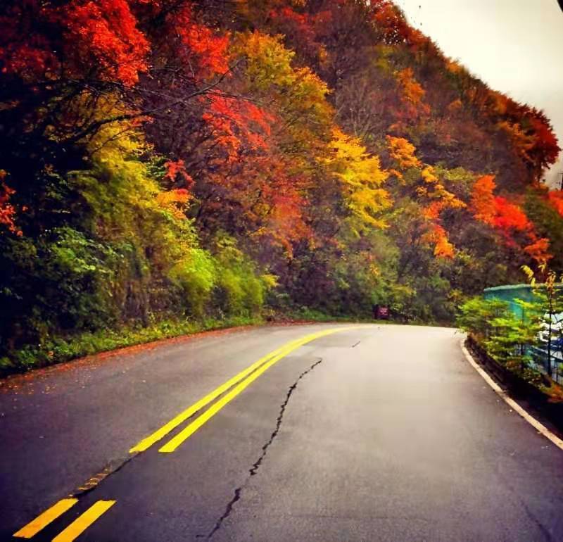 微信图片_201910281036197