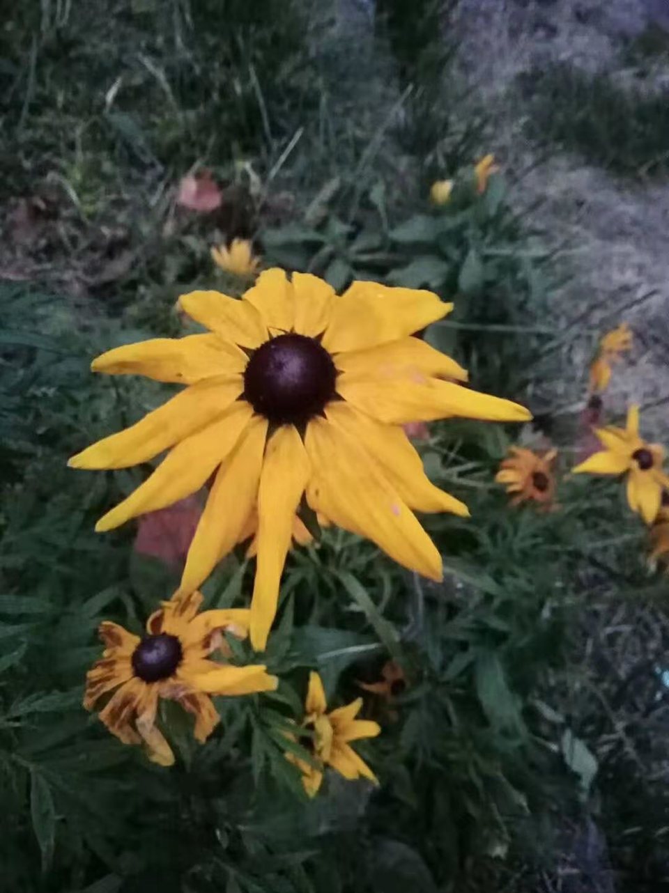 微信图片_201910281036198